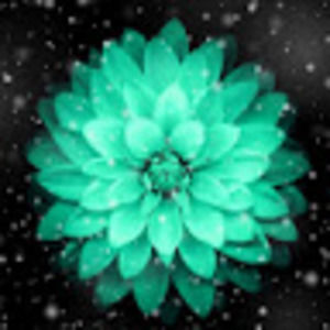 Meet your Posher, Lindsay